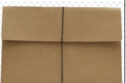Expanding Kraft Envelope (Envelope, Expanding)