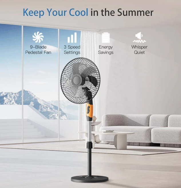Electric fan stand fan