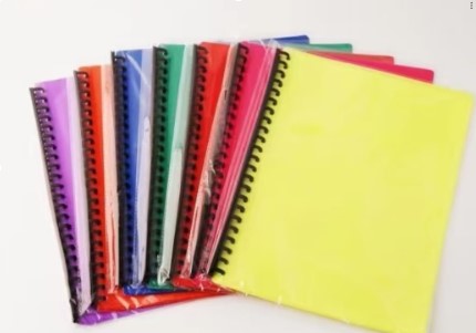 Clear Book Long/Short (Gree, Red, White, Yellow, Orange, Violet, Black and Pink) (Copy)